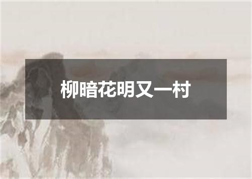 柳暗花明又一村