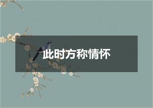此时方称情怀
