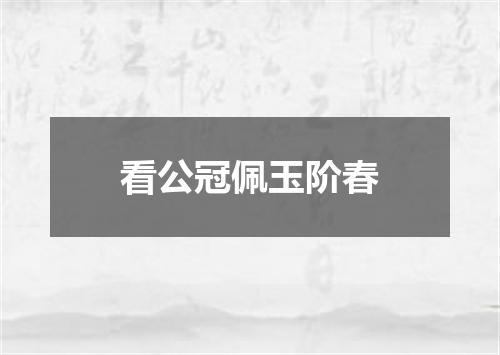 看公冠佩玉阶春