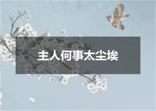 主人何事太尘埃