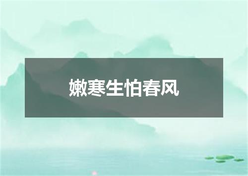 嫩寒生怕春风