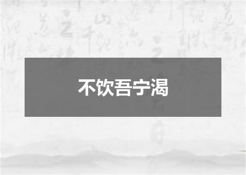 不饮吾宁渴