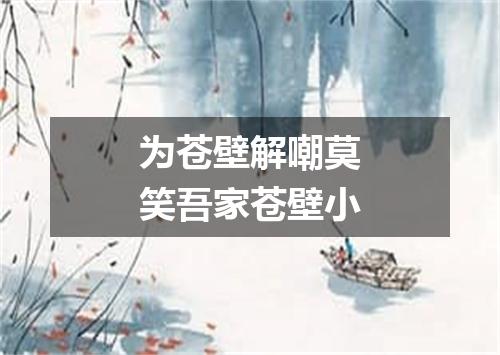 为苍壁解嘲莫笑吾家苍壁小