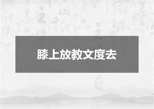 膝上放教文度去