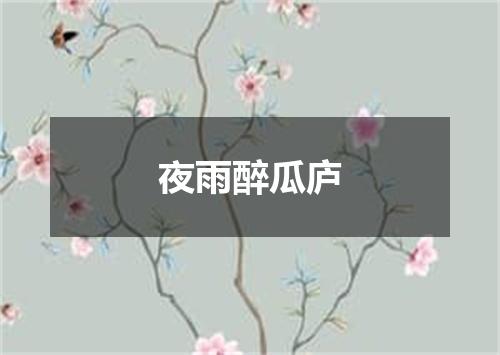 夜雨醉瓜庐