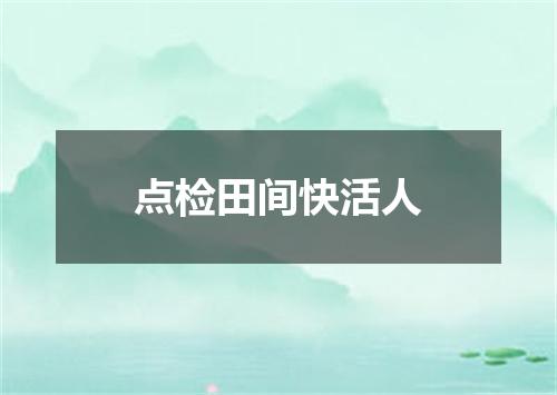 点检田间快活人