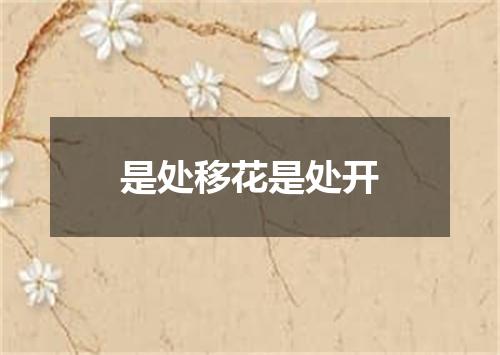 是处移花是处开