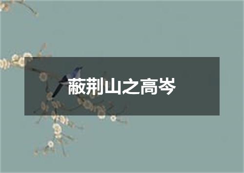 蔽荆山之高岑
