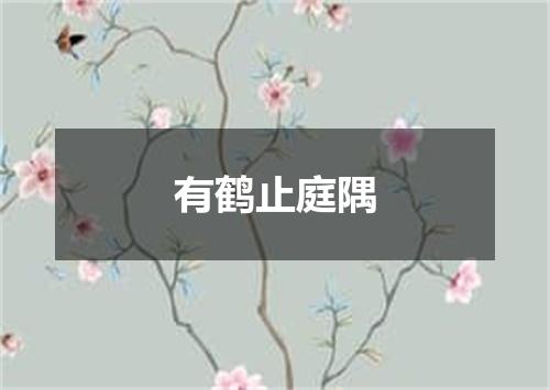有鹤止庭隅