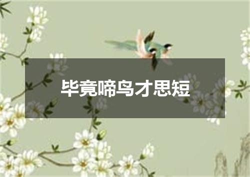 毕竟啼鸟才思短