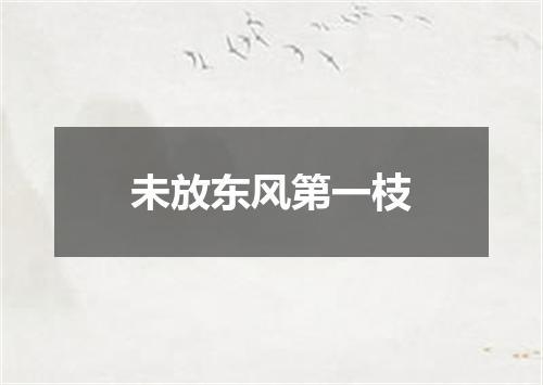 未放东风第一枝
