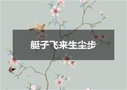 艇子飞来生尘步
