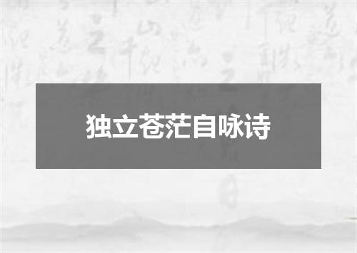独立苍茫自咏诗