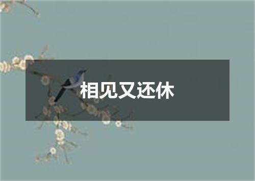 相见又还休