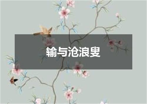 输与沧浪叟