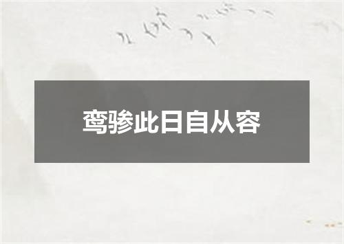 鸾骖此日自从容
