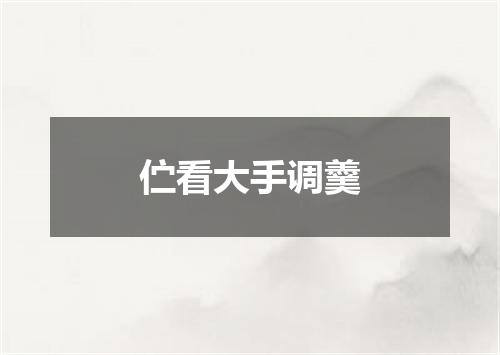 伫看大手调羹