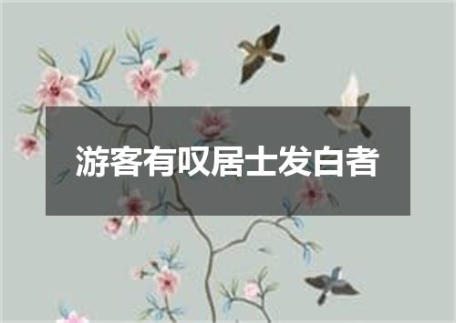 游客有叹居士发白者