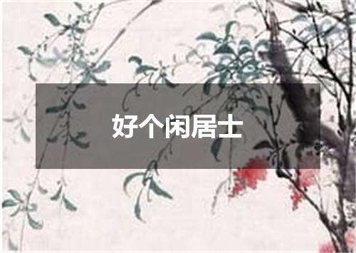好个闲居士
