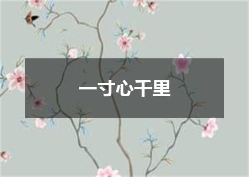 一寸心千里