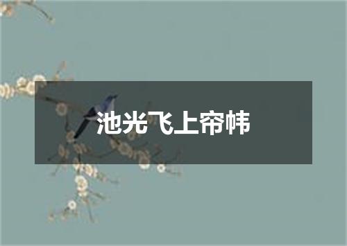 池光飞上帘帏