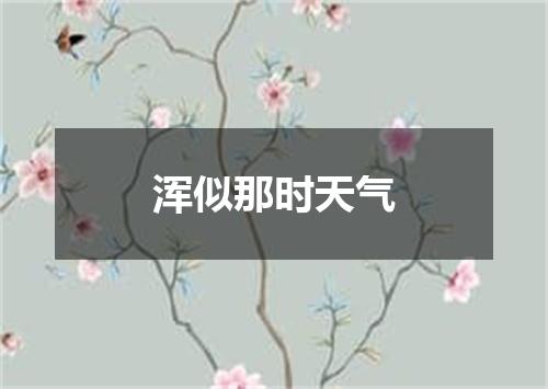 浑似那时天气