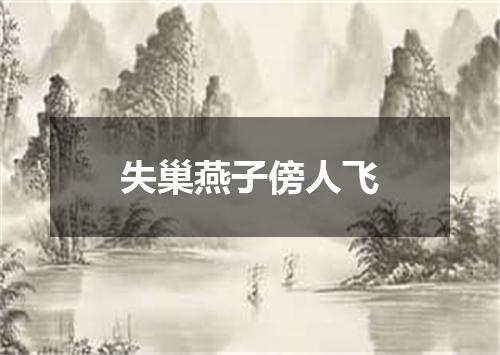 失巢燕子傍人飞
