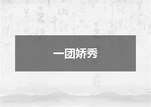 一团娇秀