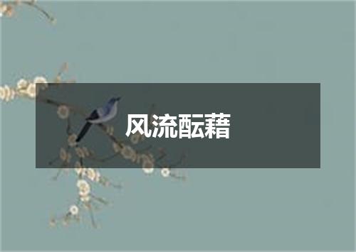 风流酝藉
