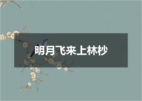明月飞来上林杪
