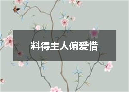 料得主人偏爱惜