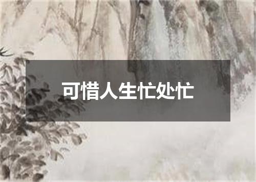 可惜人生忙处忙