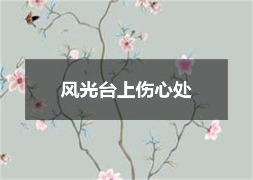 风光台上伤心处