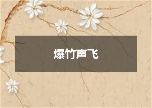 爆竹声飞