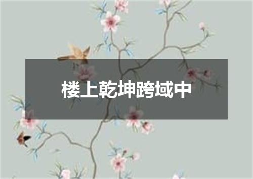 楼上乾坤跨域中