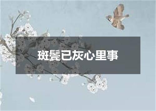 斑鬓已灰心里事