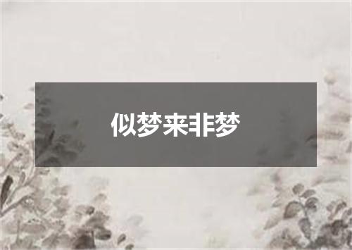 似梦来非梦