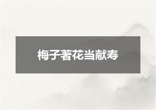 梅子著花当献寿