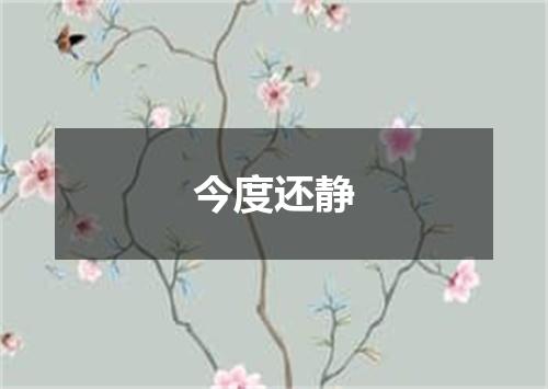 今度还静