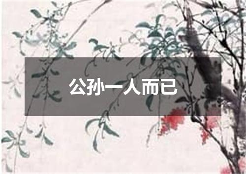 公孙一人而已