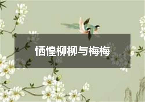 恓惶柳柳与梅梅
