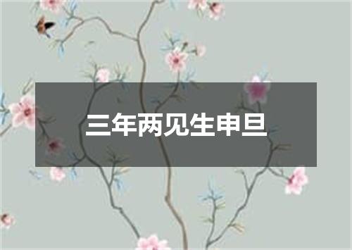 三年两见生申旦