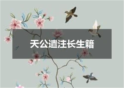 天公遣注长生籍