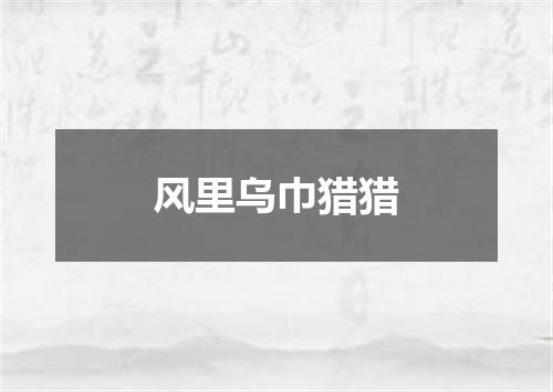 风里乌巾猎猎