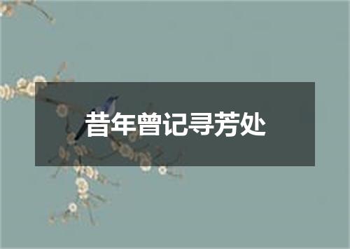 昔年曾记寻芳处