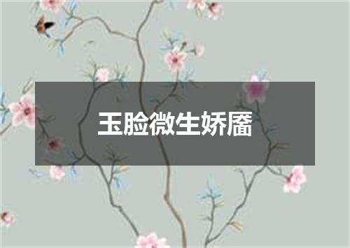 玉脸微生娇靥