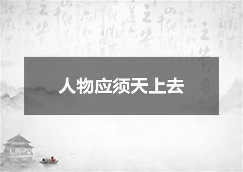 人物应须天上去