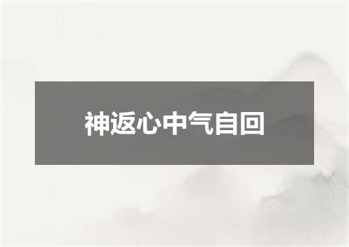 神返心中气自回