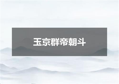 玉京群帝朝斗