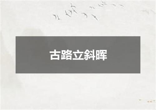 古路立斜晖